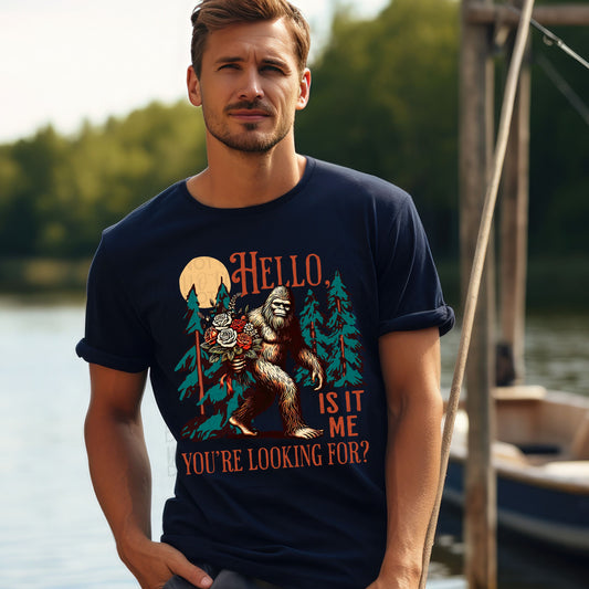 Hello is it me you looking for